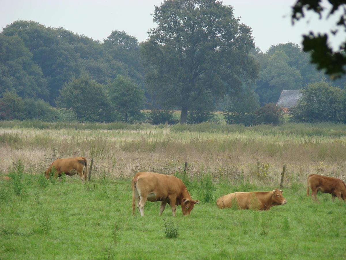 Bed & Breakfast Onder Ons Riet Cromvoirt