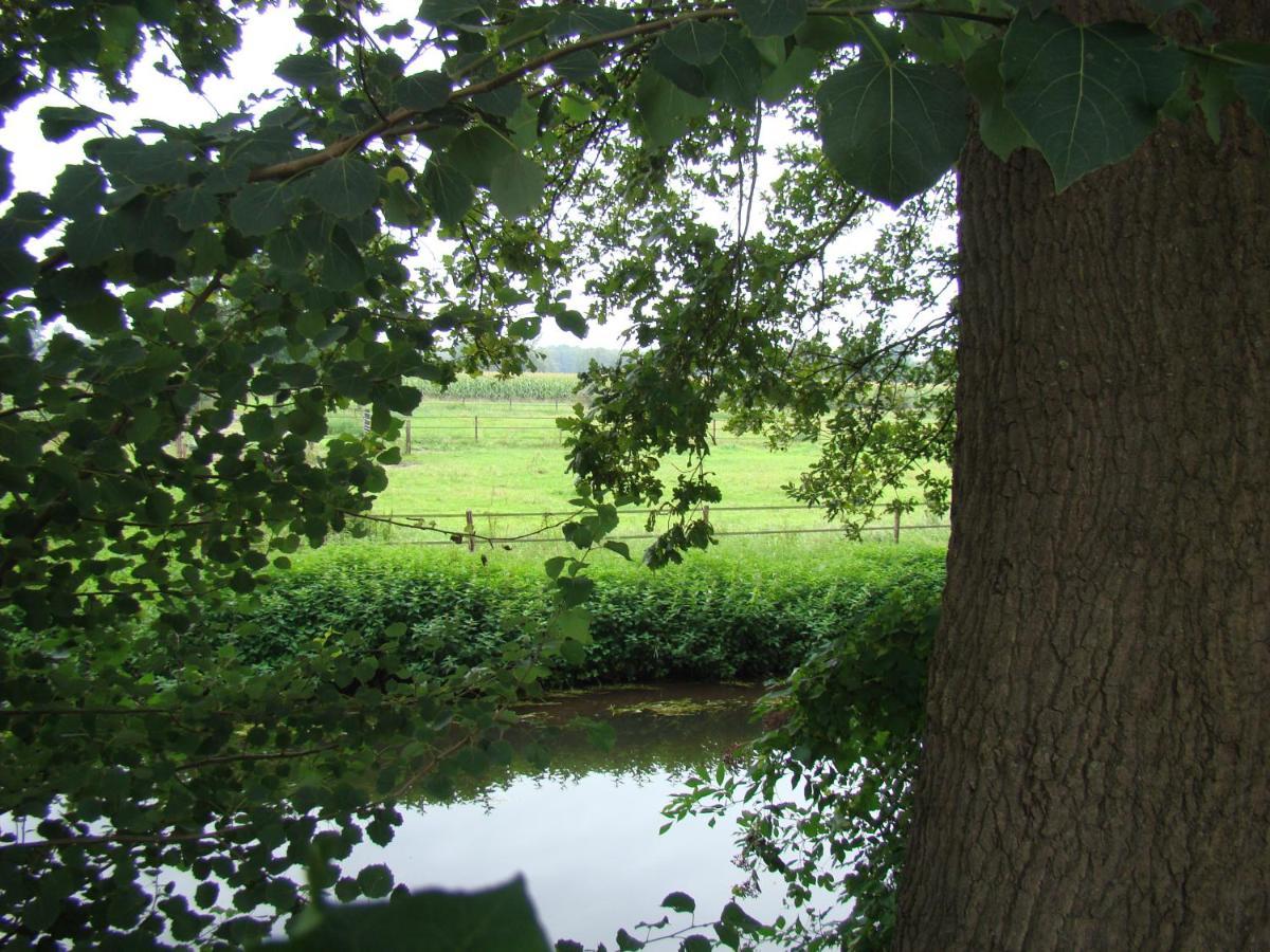 Bed & Breakfast Onder Ons Riet *